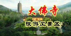 熟妇自摸中国浙江-新昌大佛寺旅游风景区